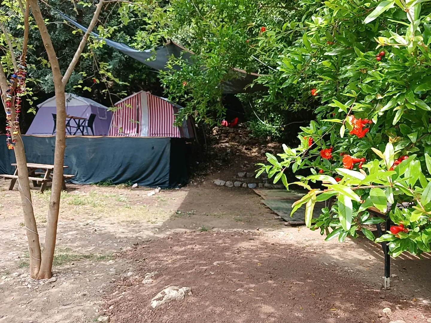 kalinka camping