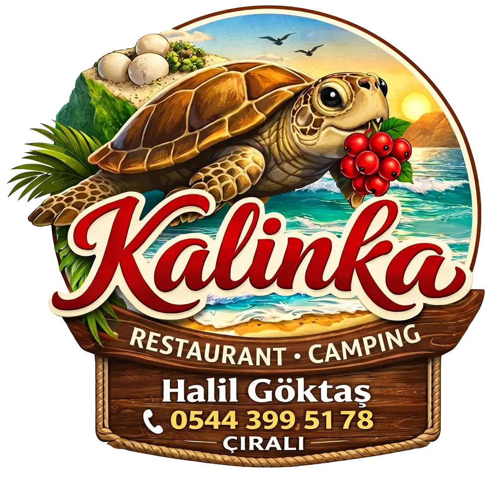 kalinka footer logo n